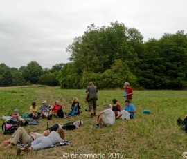 DSC_1551_DxO